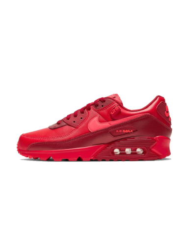 Air Max 90 Chi-City Special votre